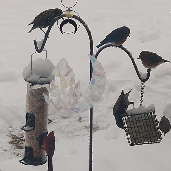 Meet your Posher, Carrie - Picture 7 of 16